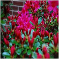 2019 일일피정, 서약식과 의장 이취임식