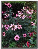 제21차 이냐시오 영성 침묵 피정 (8/10-8/14) - Image 17