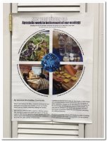 제 3회 사도직의 날(11/6/2016) - Image 78