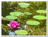 2022년 침묵피정 - Image 7