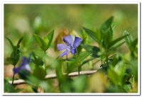 2016 일일피정/서약식 (4/24) - Image 157