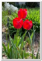 2022년 일일피정 - Image 5