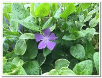 2016 일일피정/서약식 (4/24) - Image 29