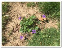 2016 일일피정/서약식 (4/24) - Image 26