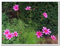 제21차 이냐시오 영성 침묵 피정 (8/10-8/14) - Image 16