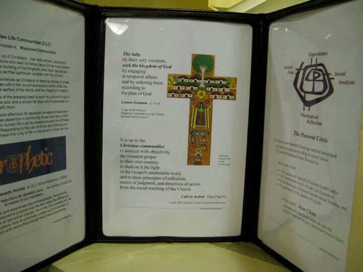P7.JPG