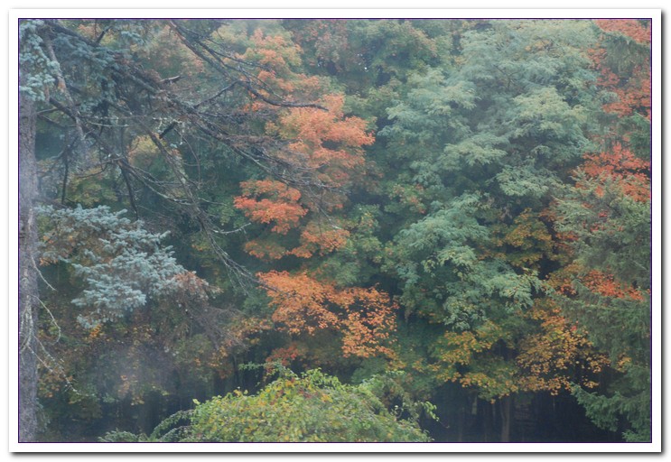 DSC_0592.jpg